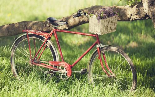 檔次重低音 包房彈跳慢搖串燒