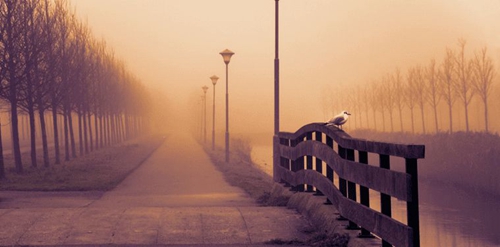 RNC Mix - 涼涼 Techno - The Defender Team