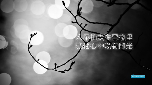 心也早已傷透《愛上你是一個錯》全國語DJ串燒