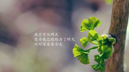 誰(shuí)誰(shuí)的什么網(wǎng)名有哪些