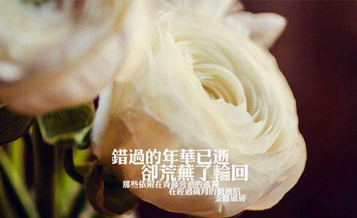 新店開業(yè)大吉祝福語經(jīng)典語錄