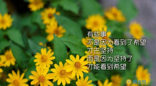 給領導新年祝福語簡短部隊