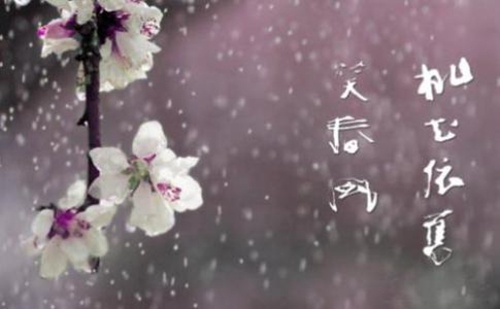 給剛認識不久的女生告白情話