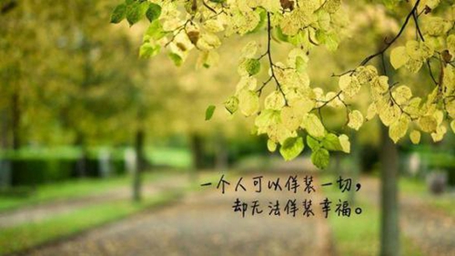關于四字的說說句子
