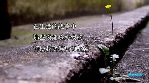 幽默不失風趣的表白情話