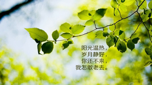 說說及配圖大全2020最新版