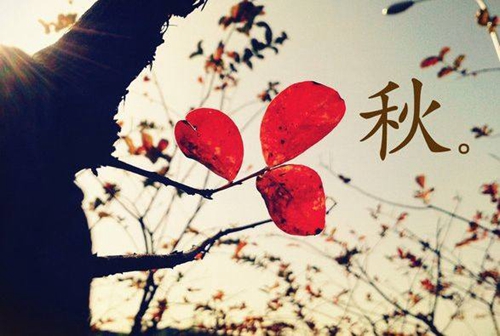七夕情話肖戰(zhàn)